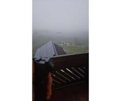 Quickfire Frontgriff mit LASER / LED LICHT Vollmetall nach MIL-STD-1913 NATO - 4/6